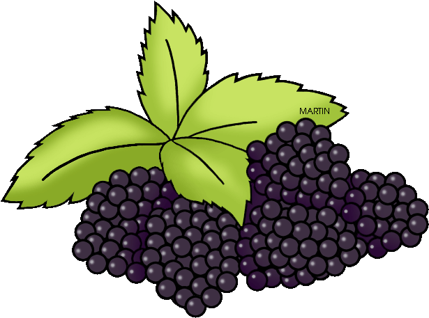 Ky State Cliparts - Seedless Fruit (648x484)