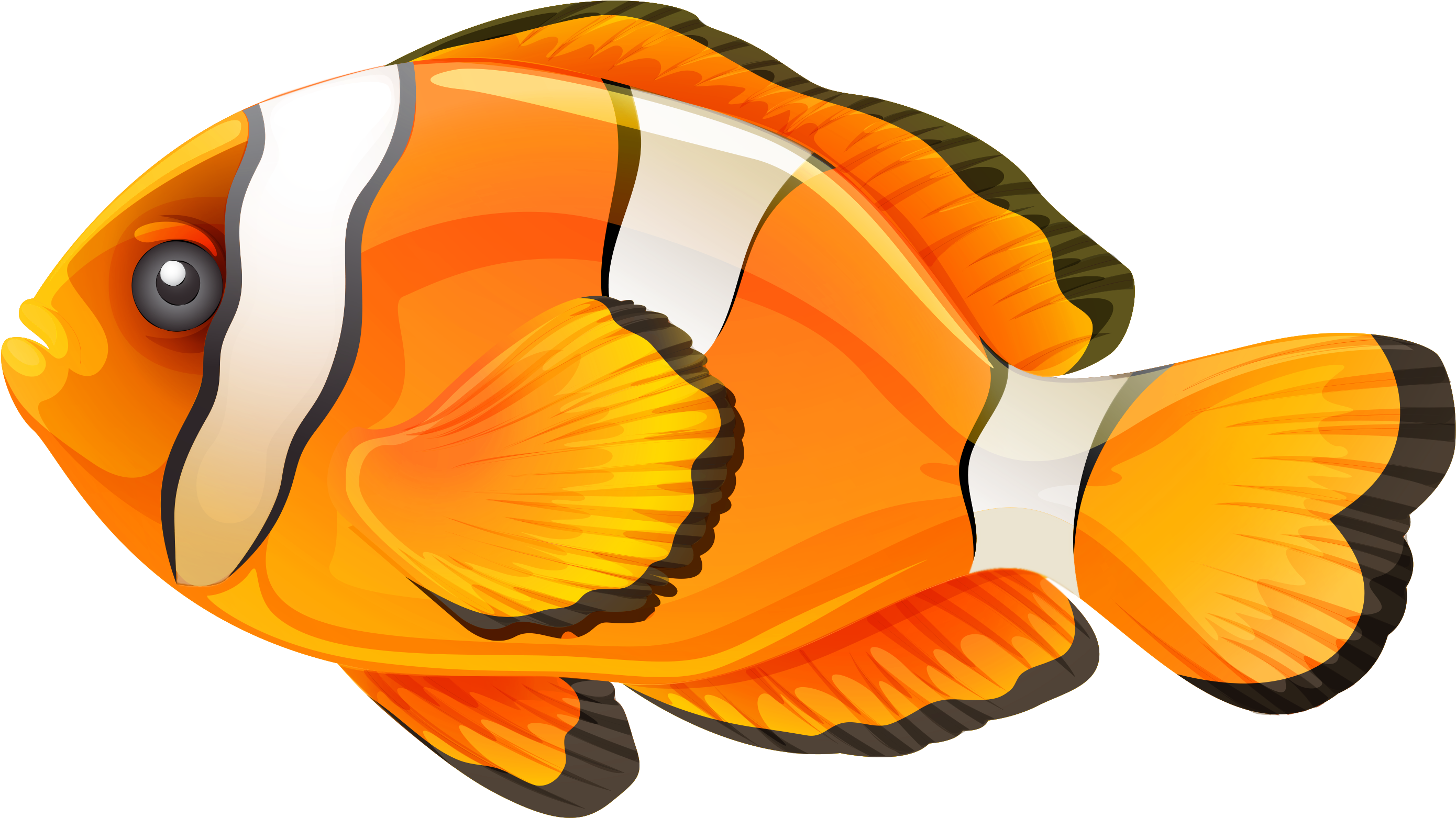 Butterflyfish Clipart Clown Fish - Fish Png (2904x1697)