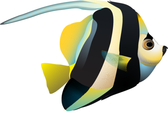 Tropical Fish Clipart - Clip Art Tropical Fish (640x430)