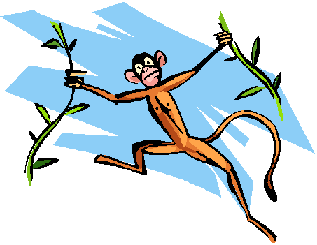 Physical Anthropology Second Exam Study Guide - Monkey (453x351)