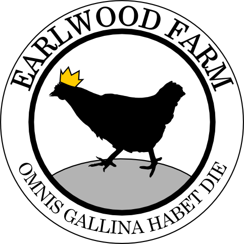 Follow Us - Rooster (483x483)