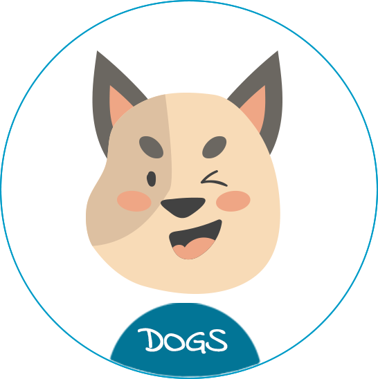 Welcome To Time For Paws Blog - Dog (546x548)