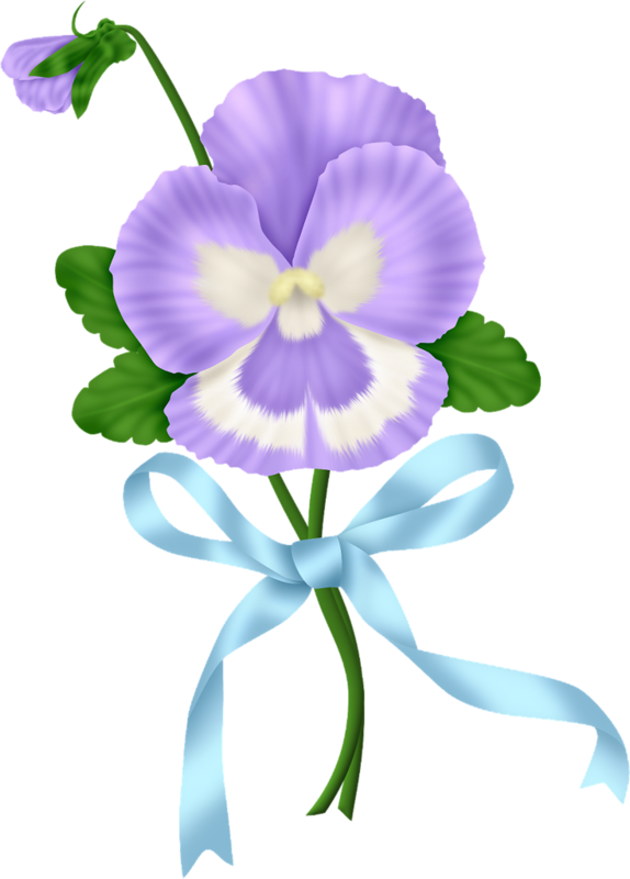 Image Du Blog Zezete2 - Flower (574x800)
