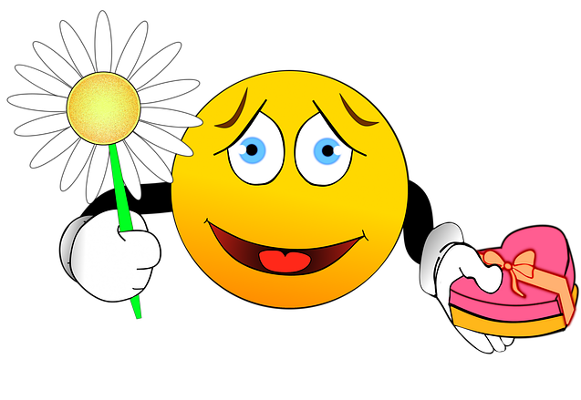 Chocolates, Apology Gift, Smiley, Excuse Me, Gift - Faccine Smile Grandi Buona Notte (640x467)