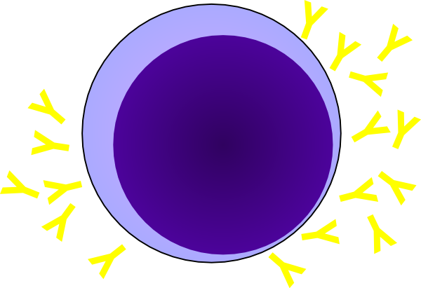 Clip Art - Lymphocyte Cartoon (600x411)