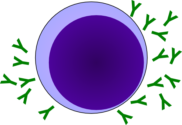 Antibody Clip Art (600x413)