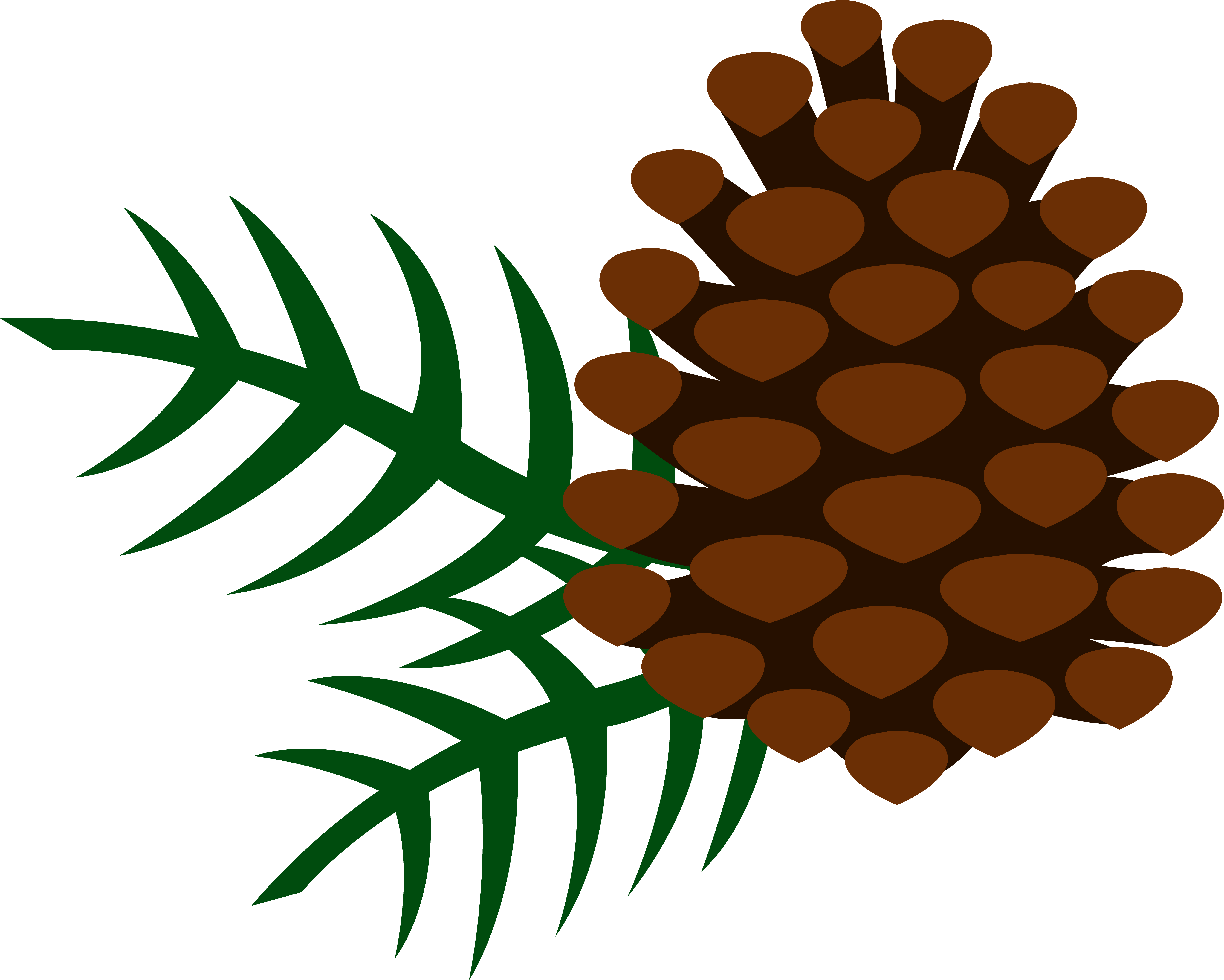 Clipart Of Three Pine Trees K4943013 - Clip Art Pine Cone (6543x5237)