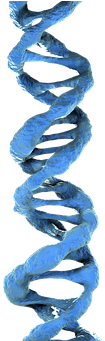 Dna 3d Dna Blue Dna Dna Dna Dna Dna Dna - Chain (480x340)