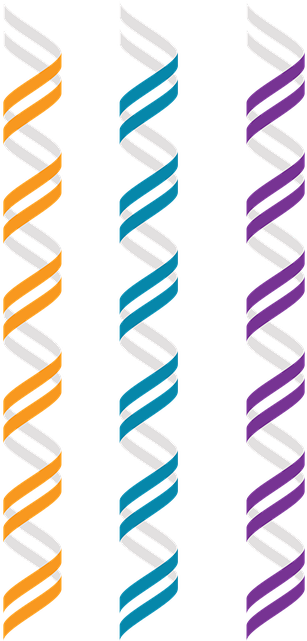 These Are Representations Of A B-dna Double Helix And - Ribbon (320x640)