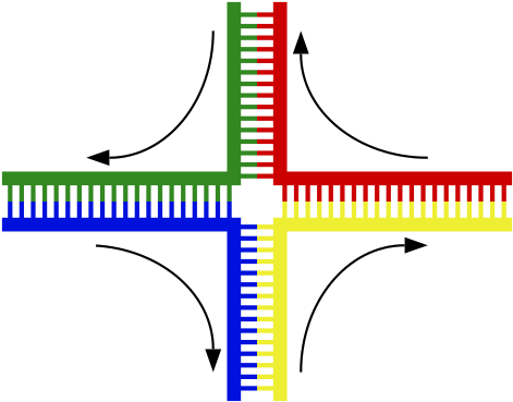 Structure Of The Holliday Junction Intermediate In - Holliday Junction (500x398)