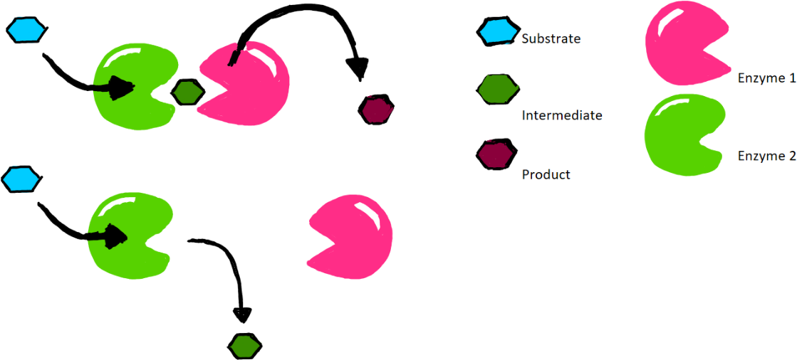 The Mechanism Of Proximity Channeling - The Mechanism Of Proximity Channeling (1167x582)