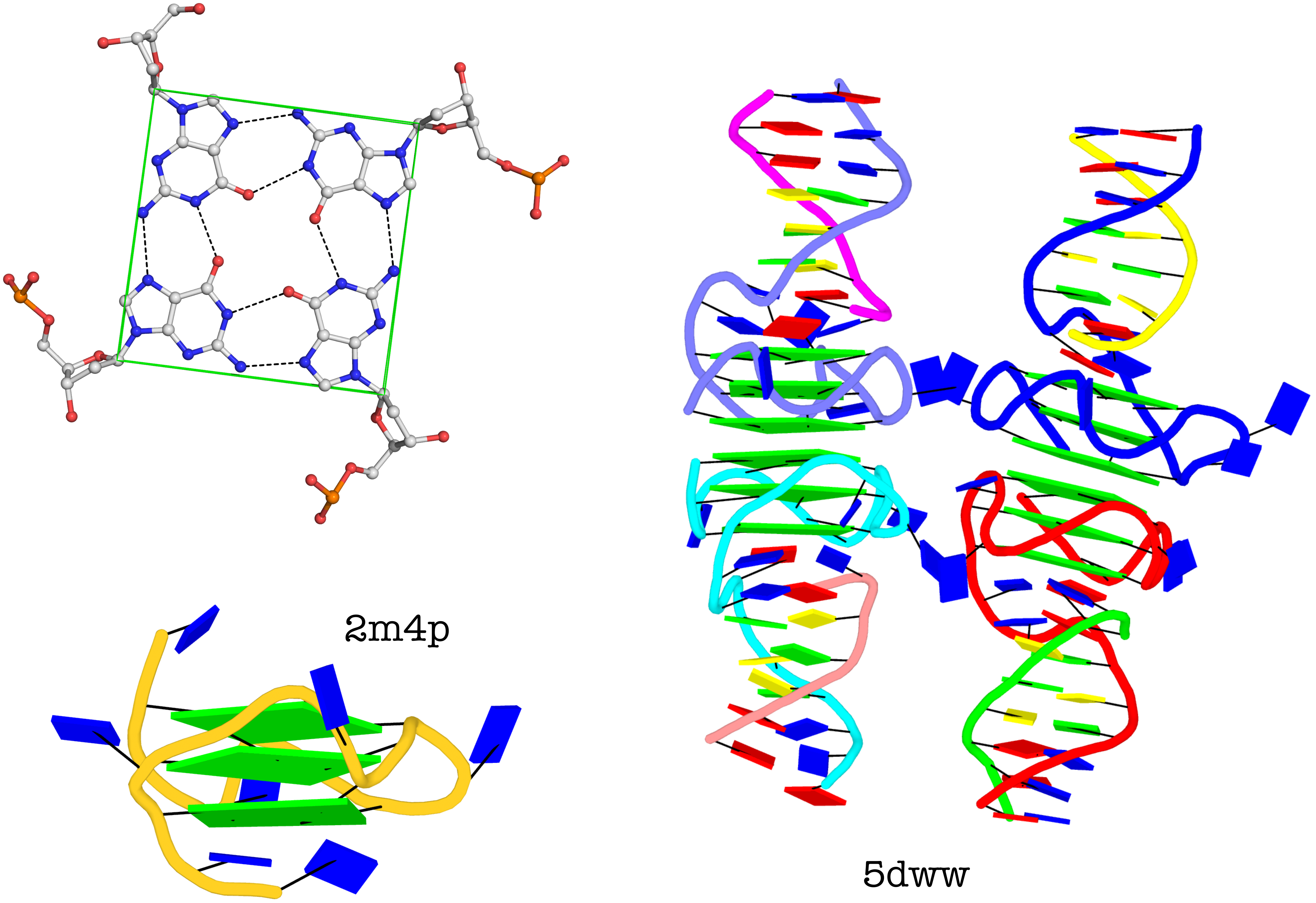 Representative G4 Structures - Representative G4 Structures (5200x3567)