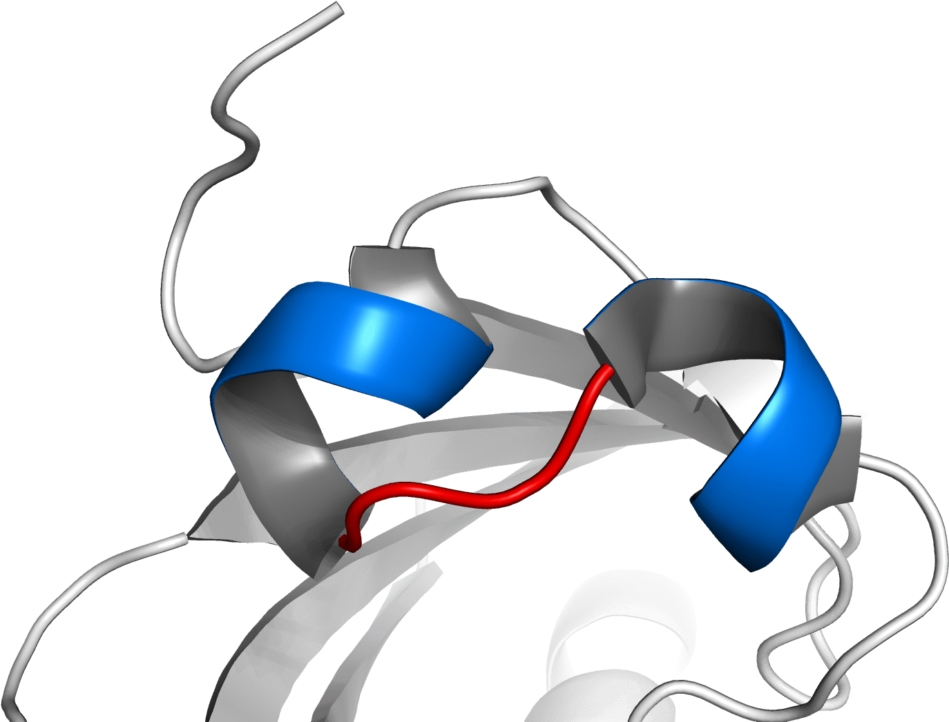 The Partner Used Determines Dna Binding Affinity And - Basic Helix-loop-helix (1548x1132)
