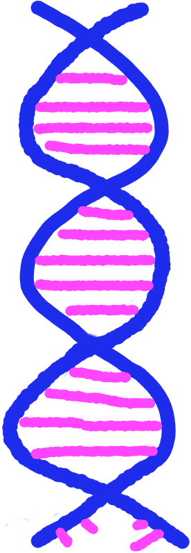 Cartoon Of Dna Helix - Cancer Phobia (565x800)