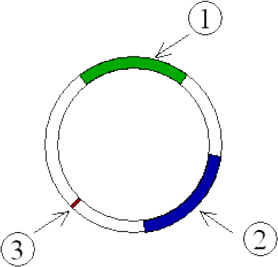 Plasmid (440x415)