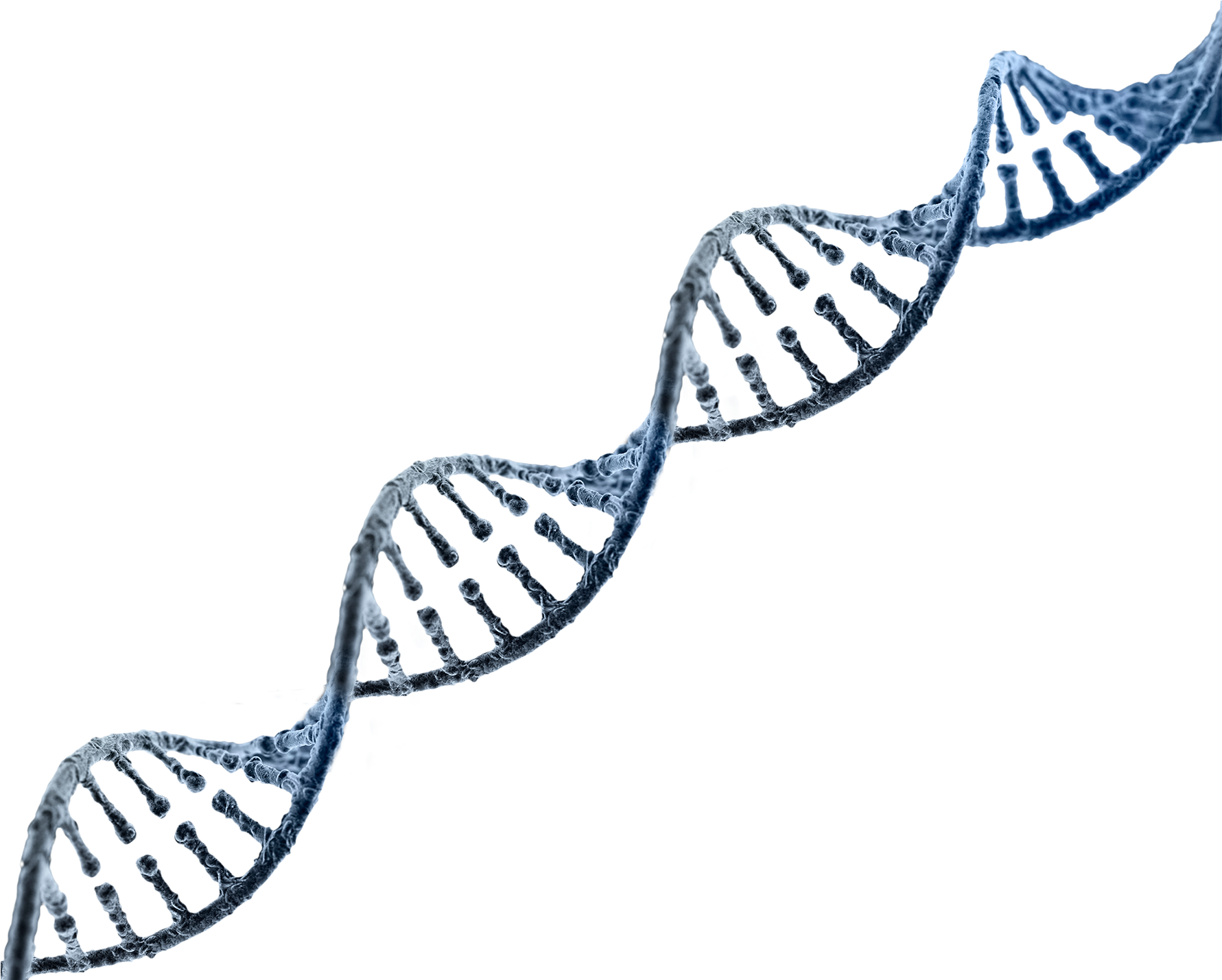 Dna Strand Transparent Background (1780x1444)