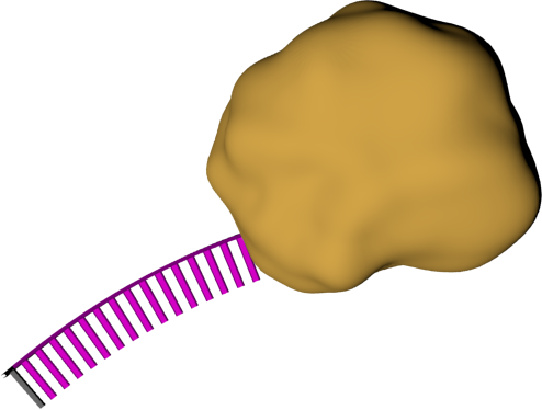 Continue Your Browser Does Not Support The Video Tag - Vector Marketing (494x374)