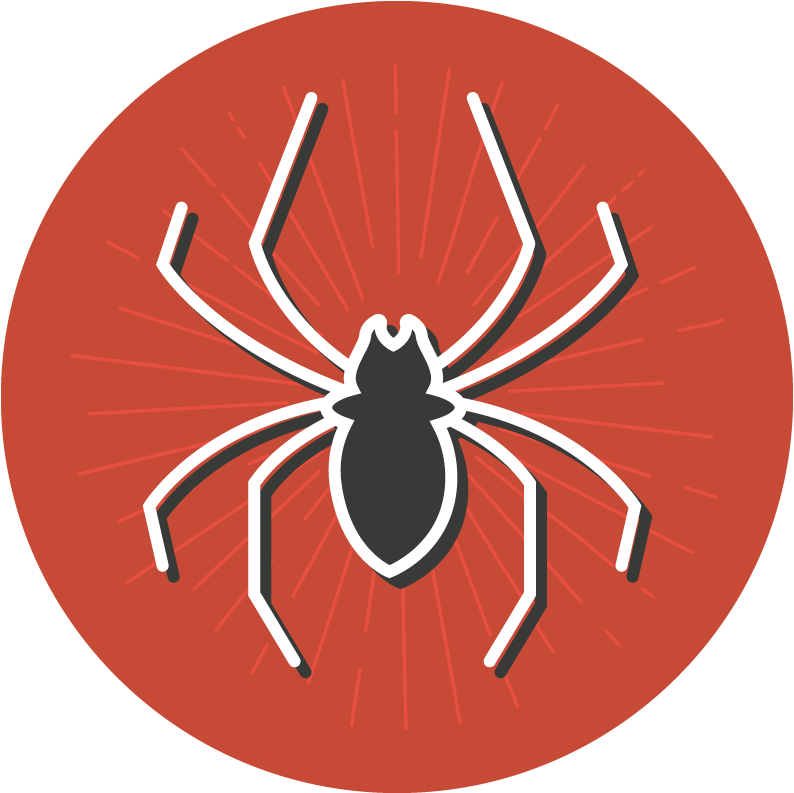 Fear Clipart Dead Spider - Insect (800x800)