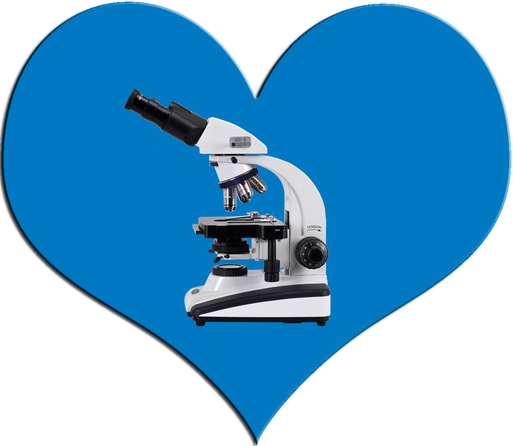 What Is - Microscope (1035x901)