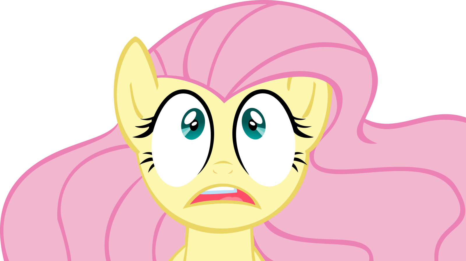 Surprised Fluttershy By Jailboticus Vector - Mlp Base Fluttershy Angry (1600x897)