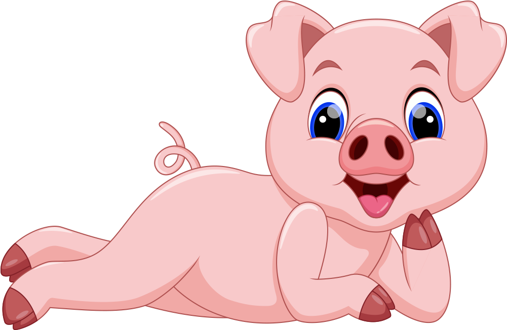 Domestic Pig Cartoon Illustration - Cute Pig Clipart (1000x1000)