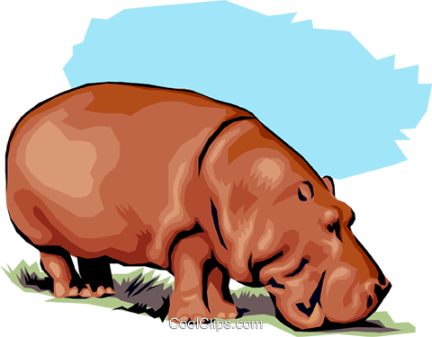 Hippopotamus Royalty Free Vector Clip Art Illustration - Art (480x375)