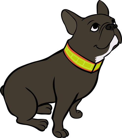 Reflective Collar Velcro 2" Width - French Bulldog (498x563)