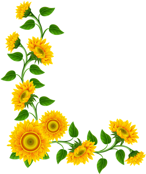 Lily Vine Clipart - Good Morning Suvichar Hindi (505x600)