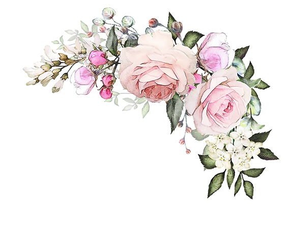Terri Krisavage - Dusty Pink Flowers Transparent (570x453)