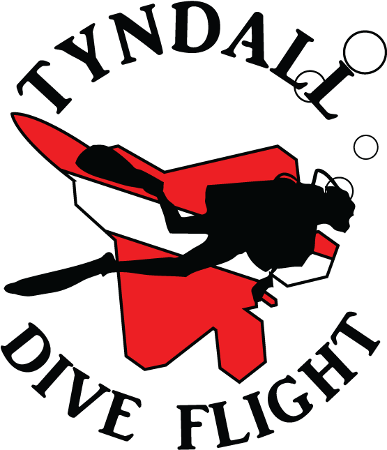 Dive Flight Logo - Flight (1024x768)
