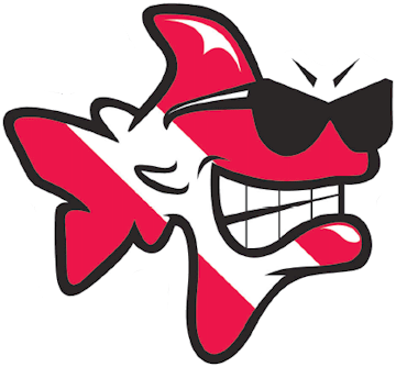 Bob The Fish Dive Per Pack - Sticker (360x334)