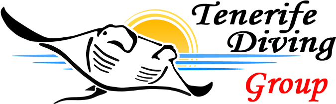 Horse Named Viking (700x212)