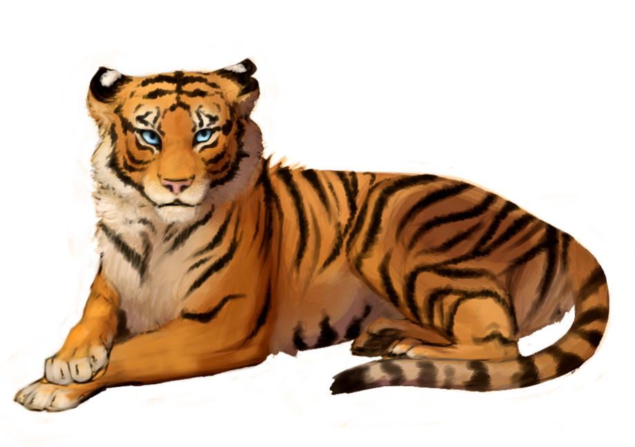 Png Tiger Clipart Photo Transparent - Tiger Clipart Png (966x828)