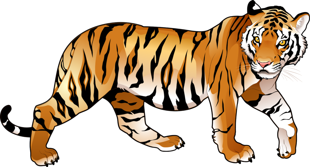 Free Tiger Clipart Snowflake Clipart - Transparent Background Tiger Clipart (1024x552)