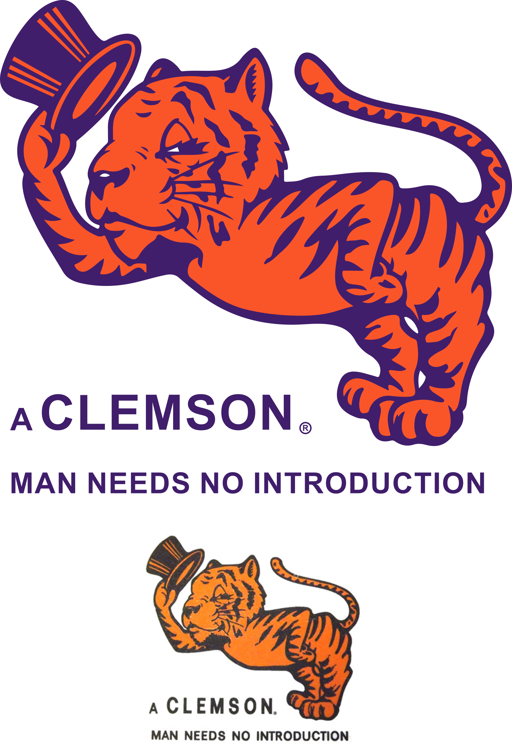 Clemson Hat Vintage - Institute Of Inspection Cleaning And Restoration Certification (1635x2405)