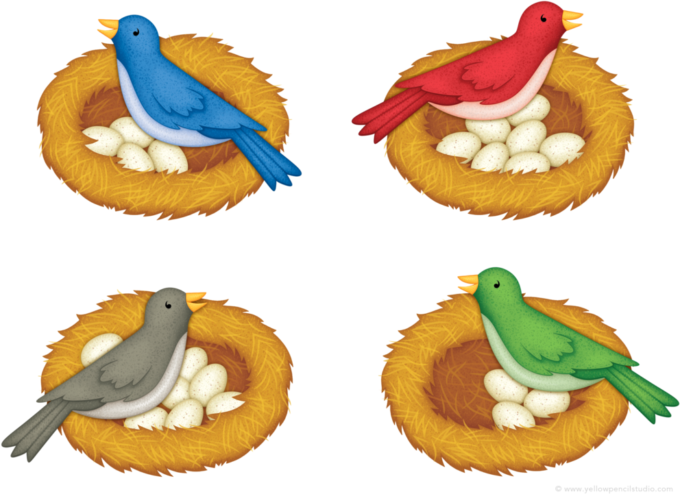 Counting Eggs Yellow Pencil Studio - Cartoon (1000x733)