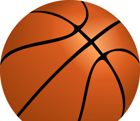 The Rollercoaster Ride That The Nba Playoffs Have Been - Pelota De Basquet Dibujo (534x462)