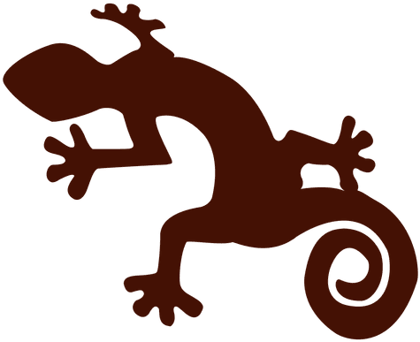Newt Clipart Transparent - Iguana Png (640x480)