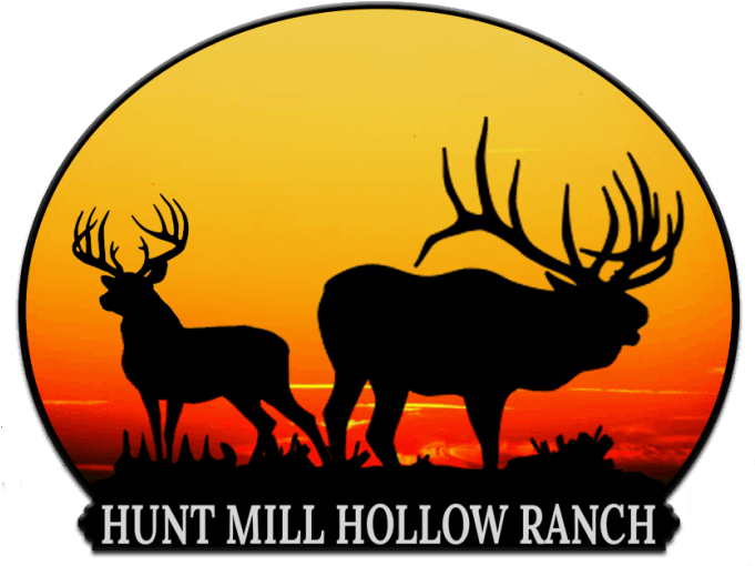Create A Stuffed Animal Oriented Logo Within 12 Hours - Elk Pumpkin Carving Stencil (680x526)