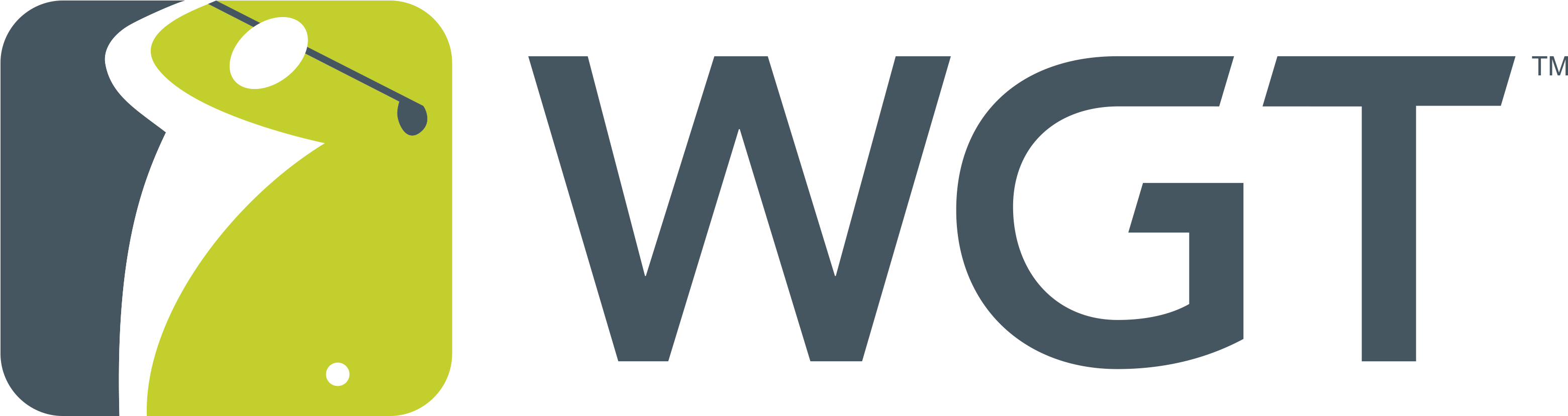 World Golf Tour Logo (4050x2025)