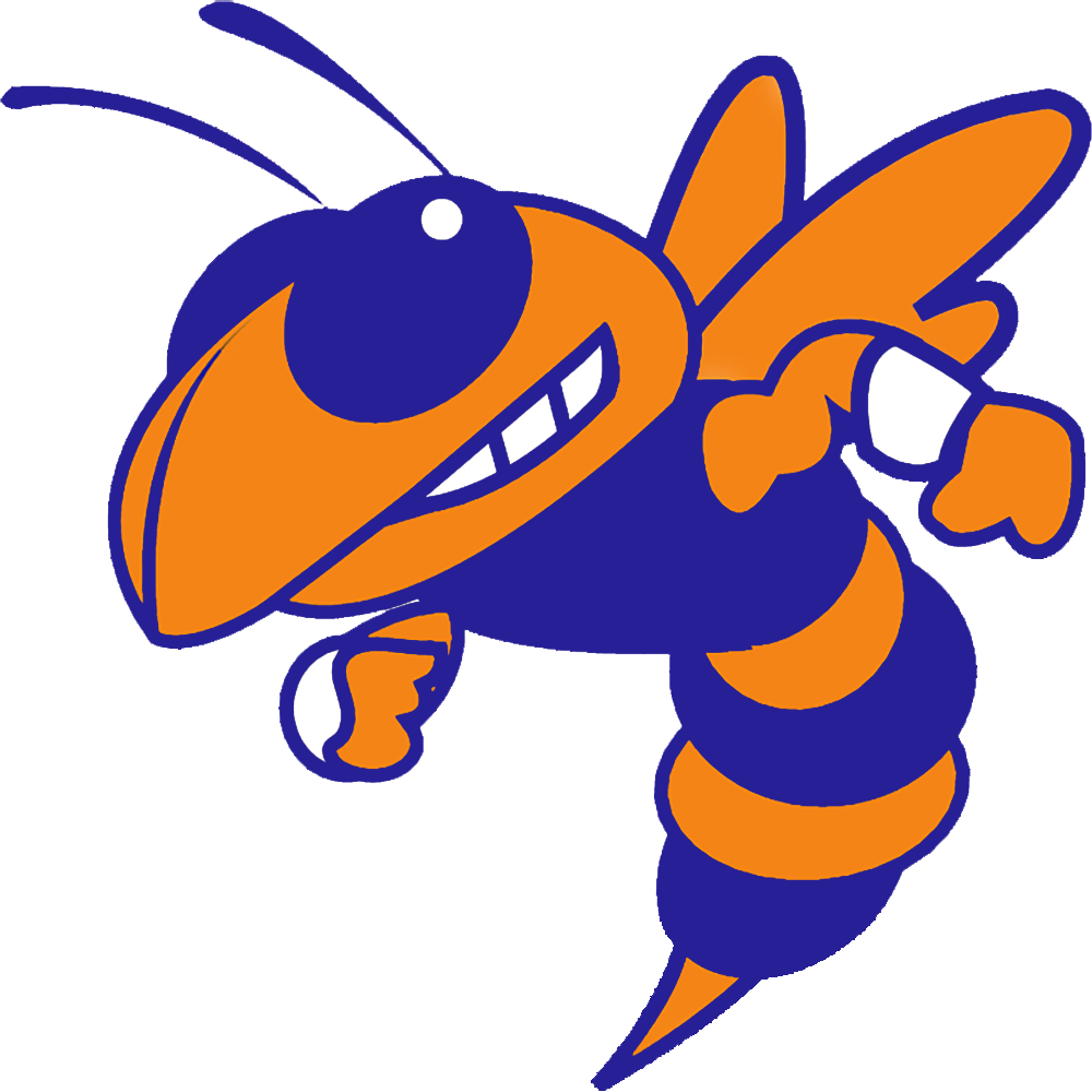 Georgia Tech Yellow Jackets (1000x1000)