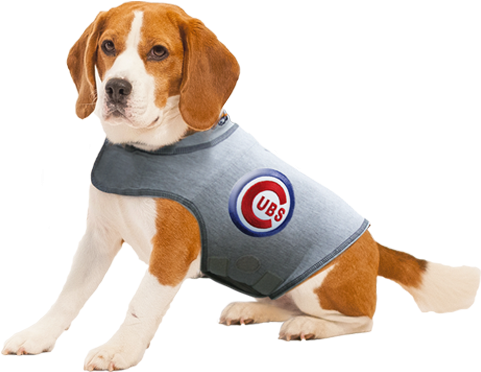 Specialty Chicago Cubs - Thunder Buddy For Dogs (500x500)