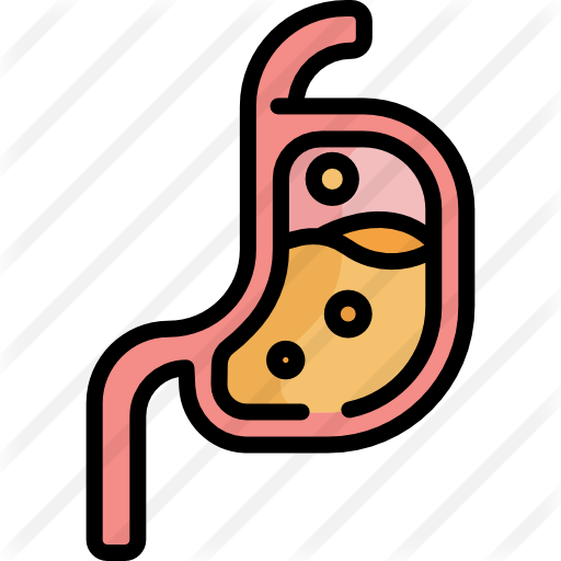 Stomach - Stomach (512x512)