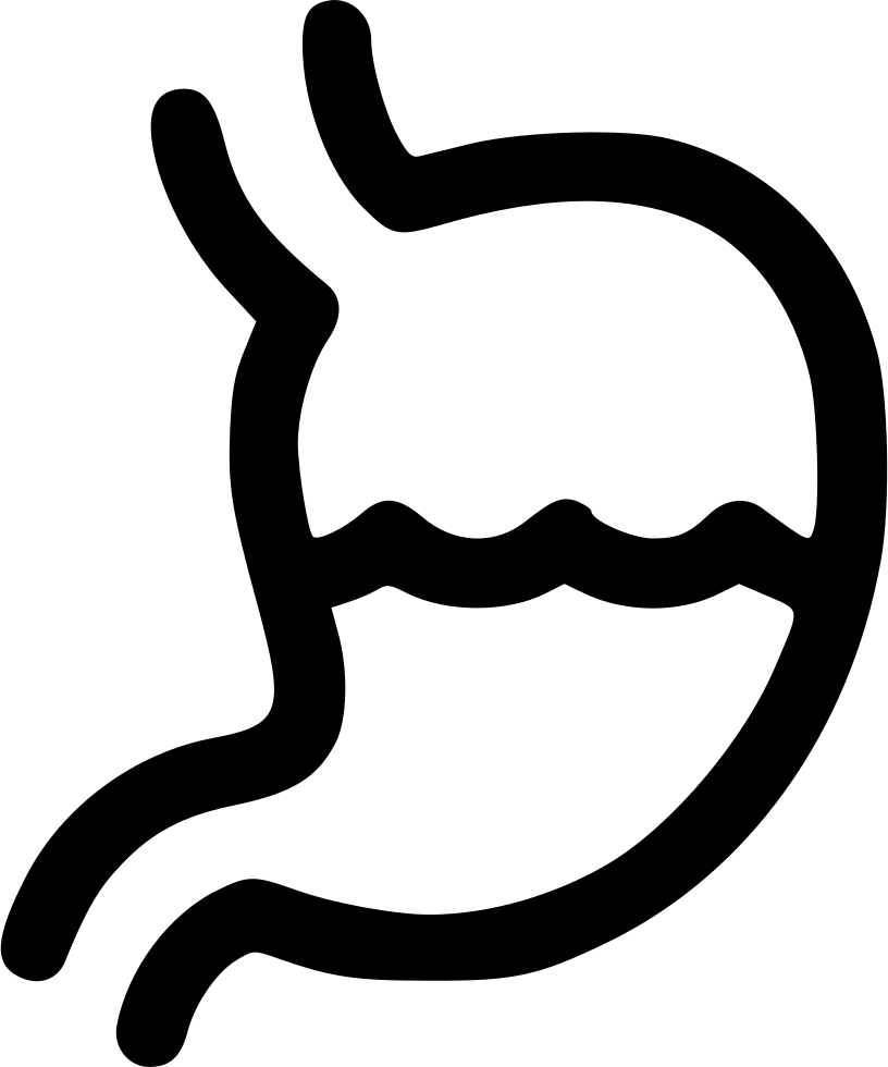 Stomach Comments - Stomach (816x980)