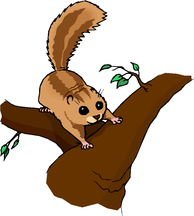 Mountain Lion Clip Art At Clker - Squirrel On Branch Clipart (750x856)