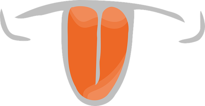 Tongue, Mouth, Licking, Taste, Flavor - Sabor Png (654x340)