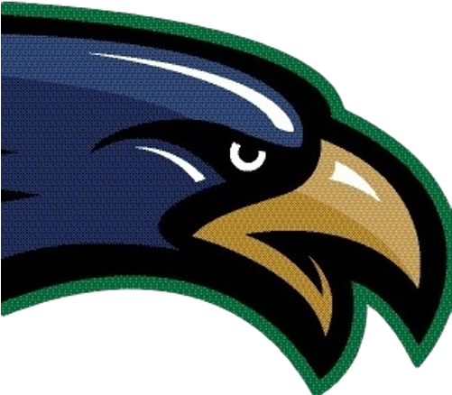 Skyline Athletics - Skyline High School Hawks (500x500)