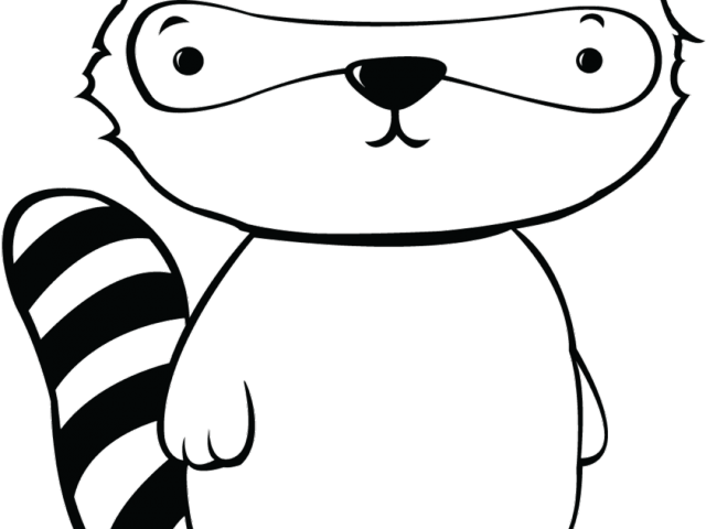 Raccoon Clipart Black And White - Drawing (640x480)