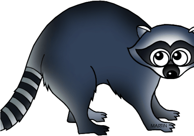 Mammal Clipart Raccoon - Raccoon (640x480)