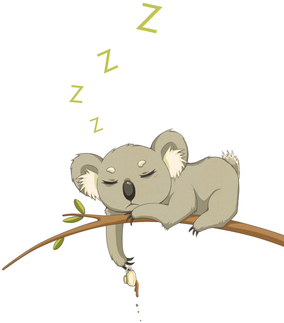 Koala Cute Drawing - Koala Fanart (1024x1177)